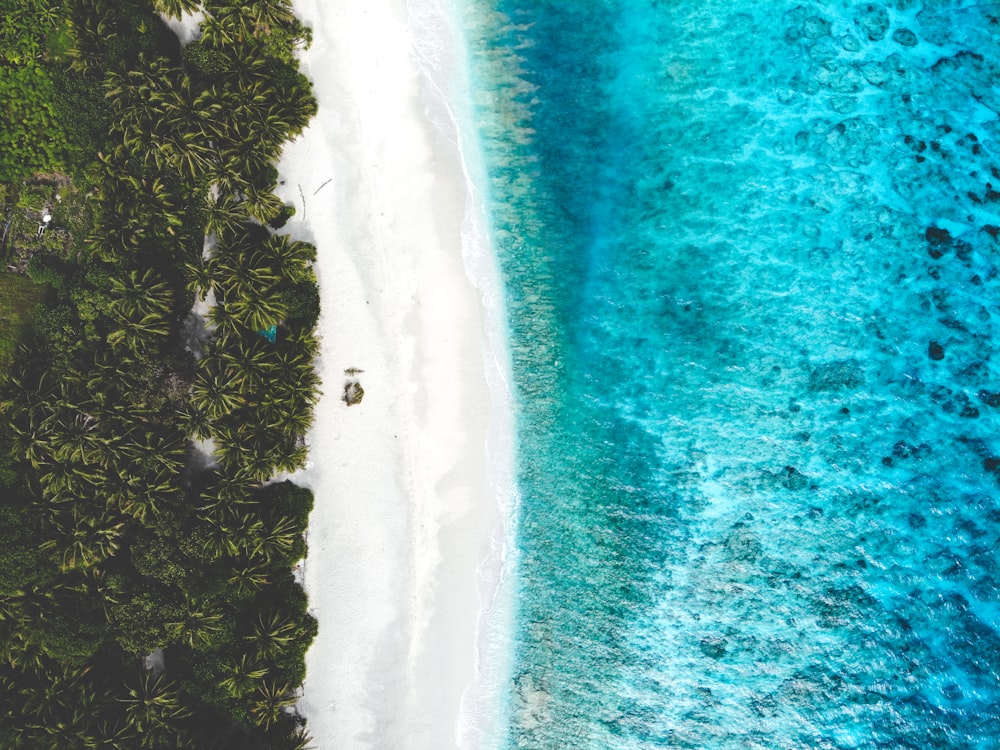 aerial view of beach during daytime