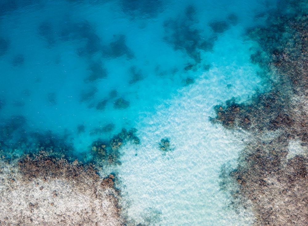 Photographie de vue aérienne de la mer bleue
