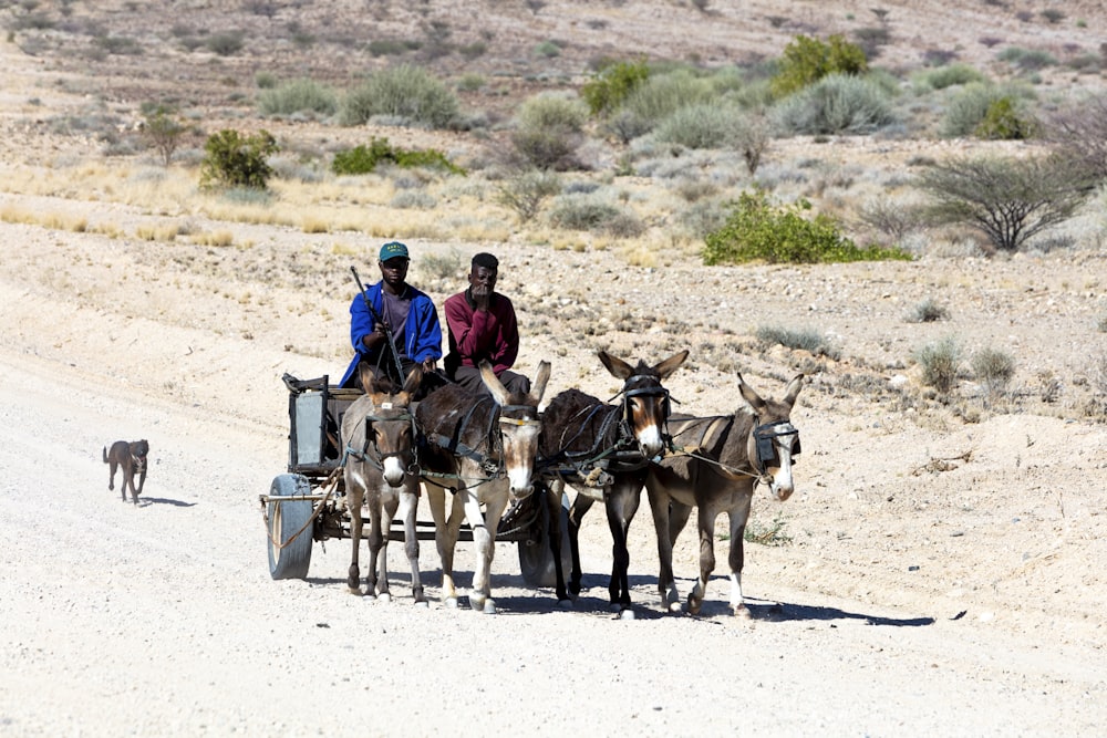 man riding carriage