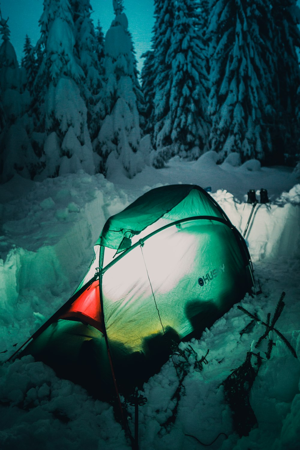 green tent near pine trees during winter