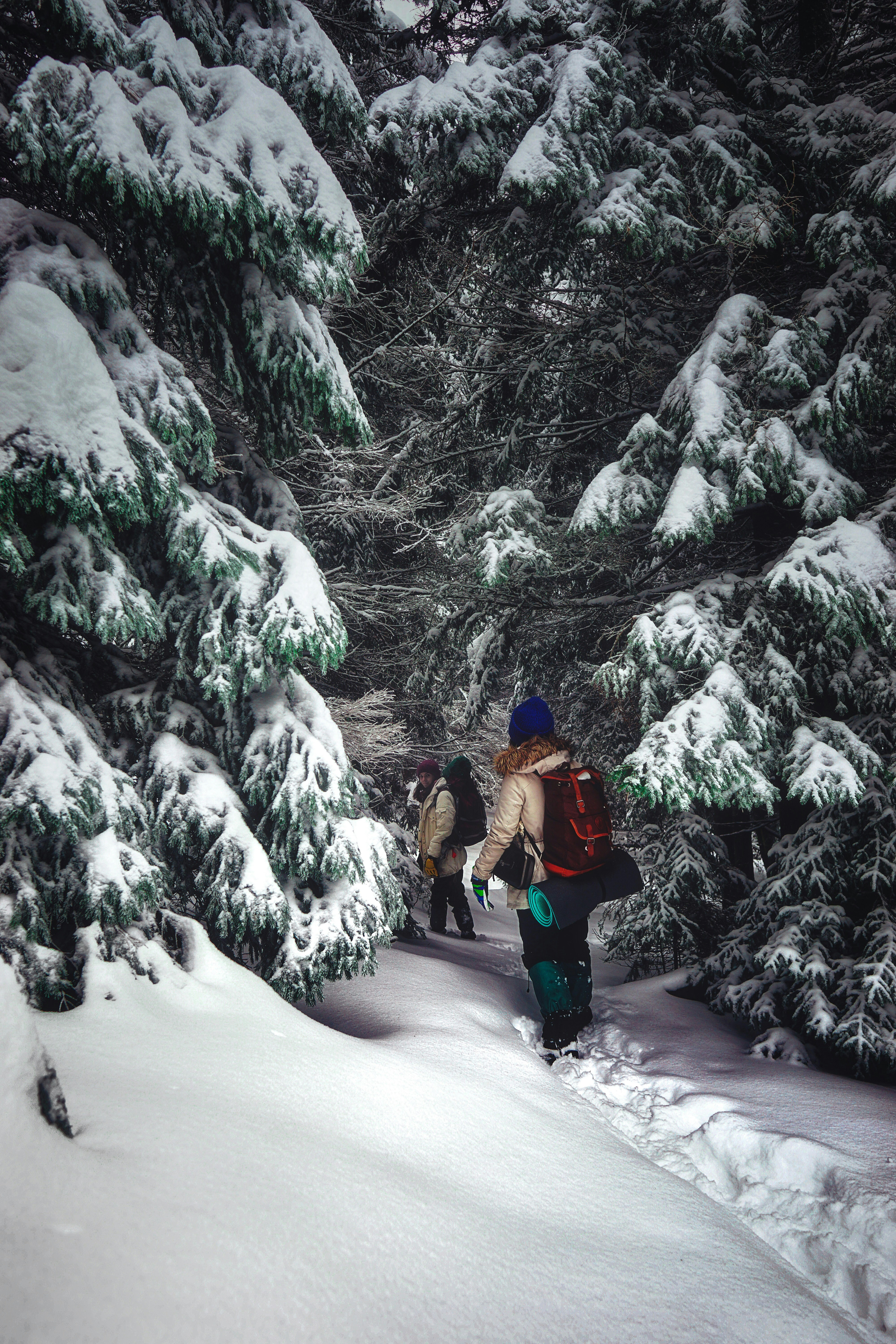 Yürüyüşçüler patikada kışlık bir montla kaplı...