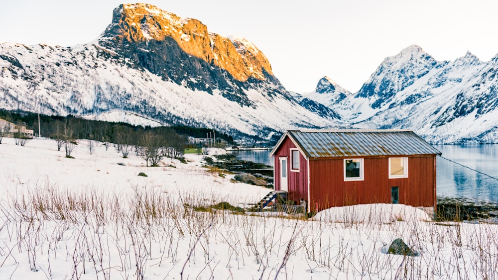 brown wooden house near body of water