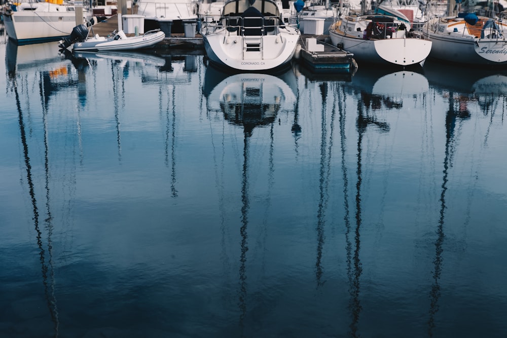 white sailing boats