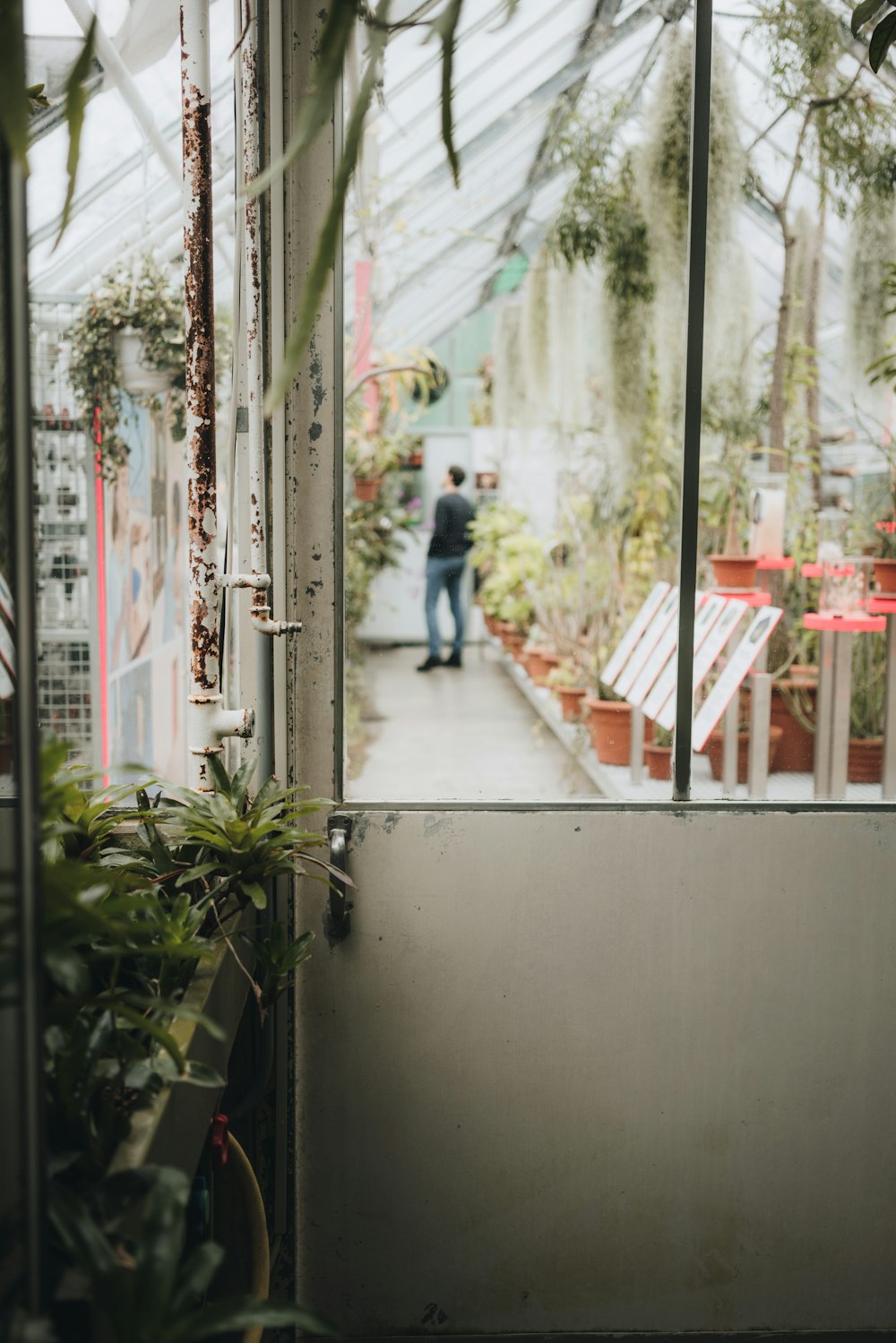 selective focus photography of closed door of greenhouse