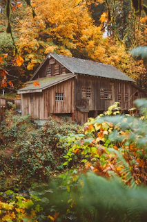 A cozy cabin nestled among colorful autumn trees in New England.