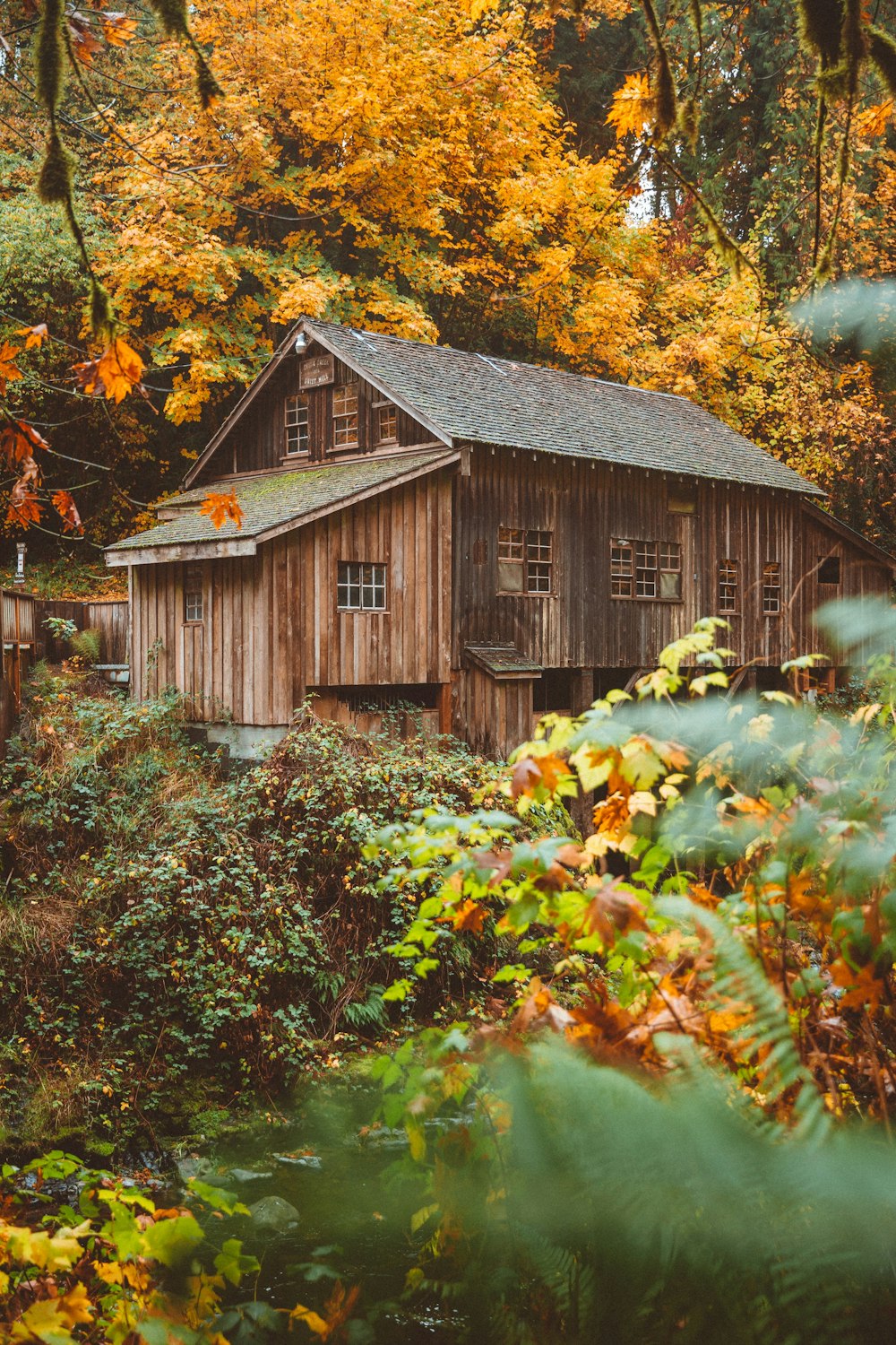 brown wooden house surrounded by orange trees