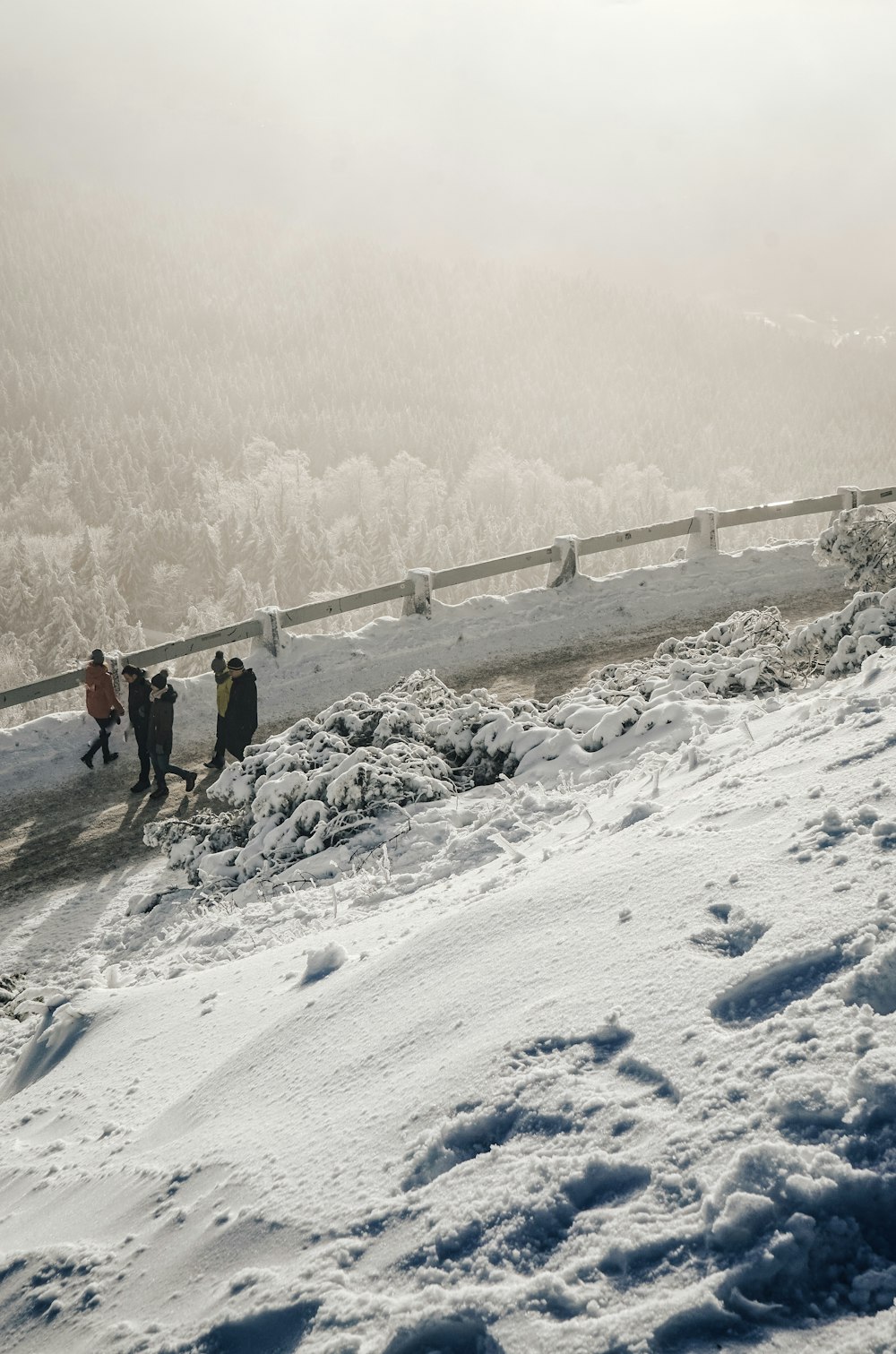 people walking near fence during daytime top-view photography