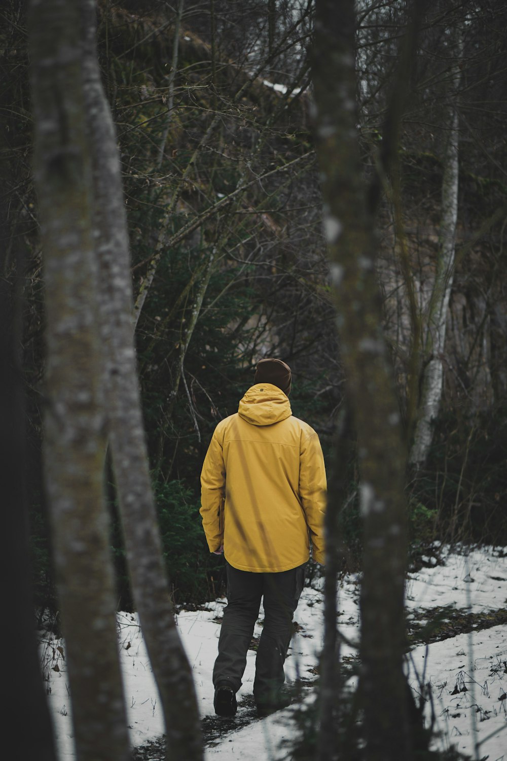 person wearing yellow hooded jacket walking between trees