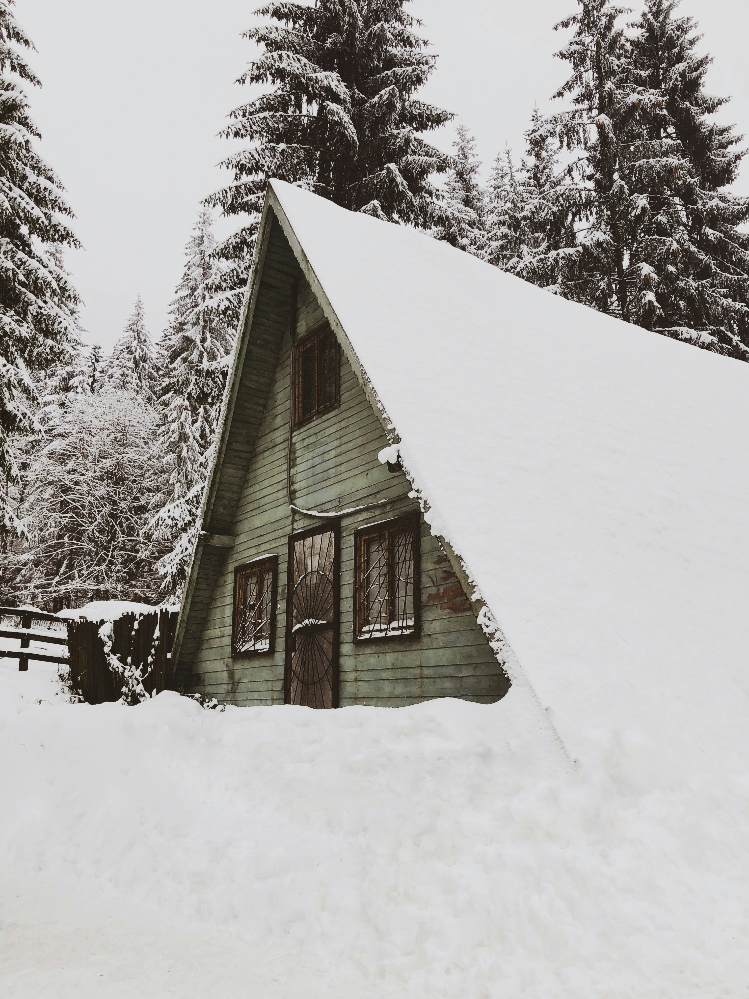 Photo by aladyinbucharest