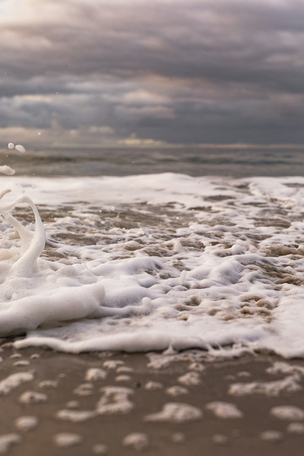 seashore during daytime