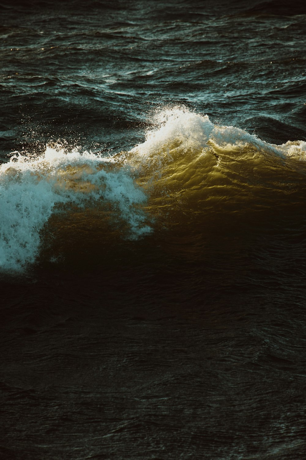 Foto de olas de mar