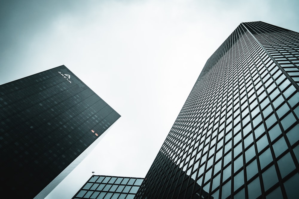 low angle photography of curtain buildings