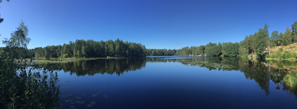 A tranquil lake reflecting a lush green forest.