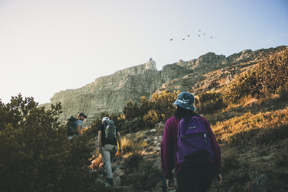 person carrying purple Jansport backpack across gray cliffs