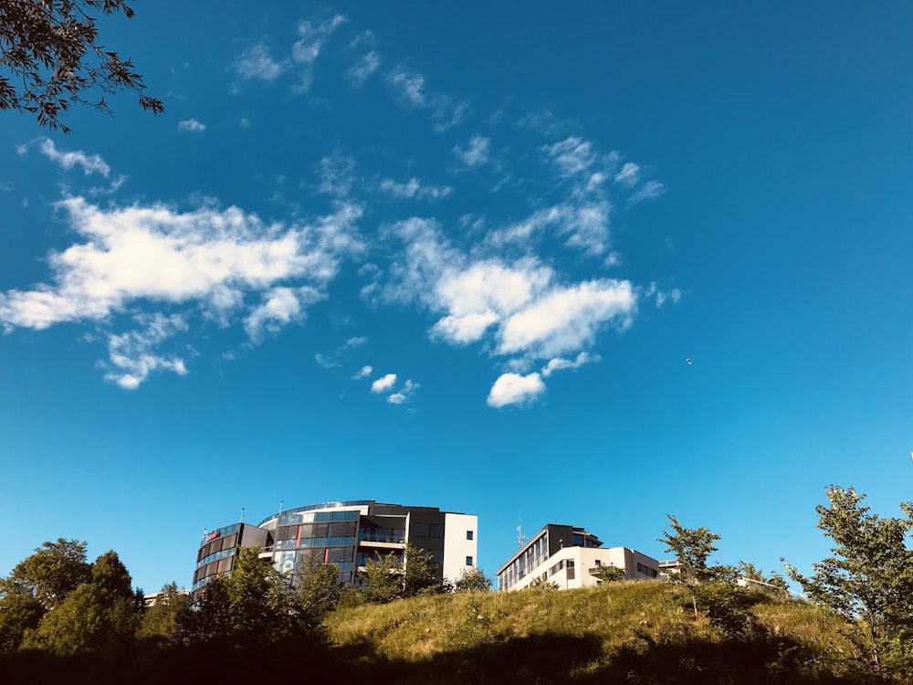 Edificio bajo el cielo azul