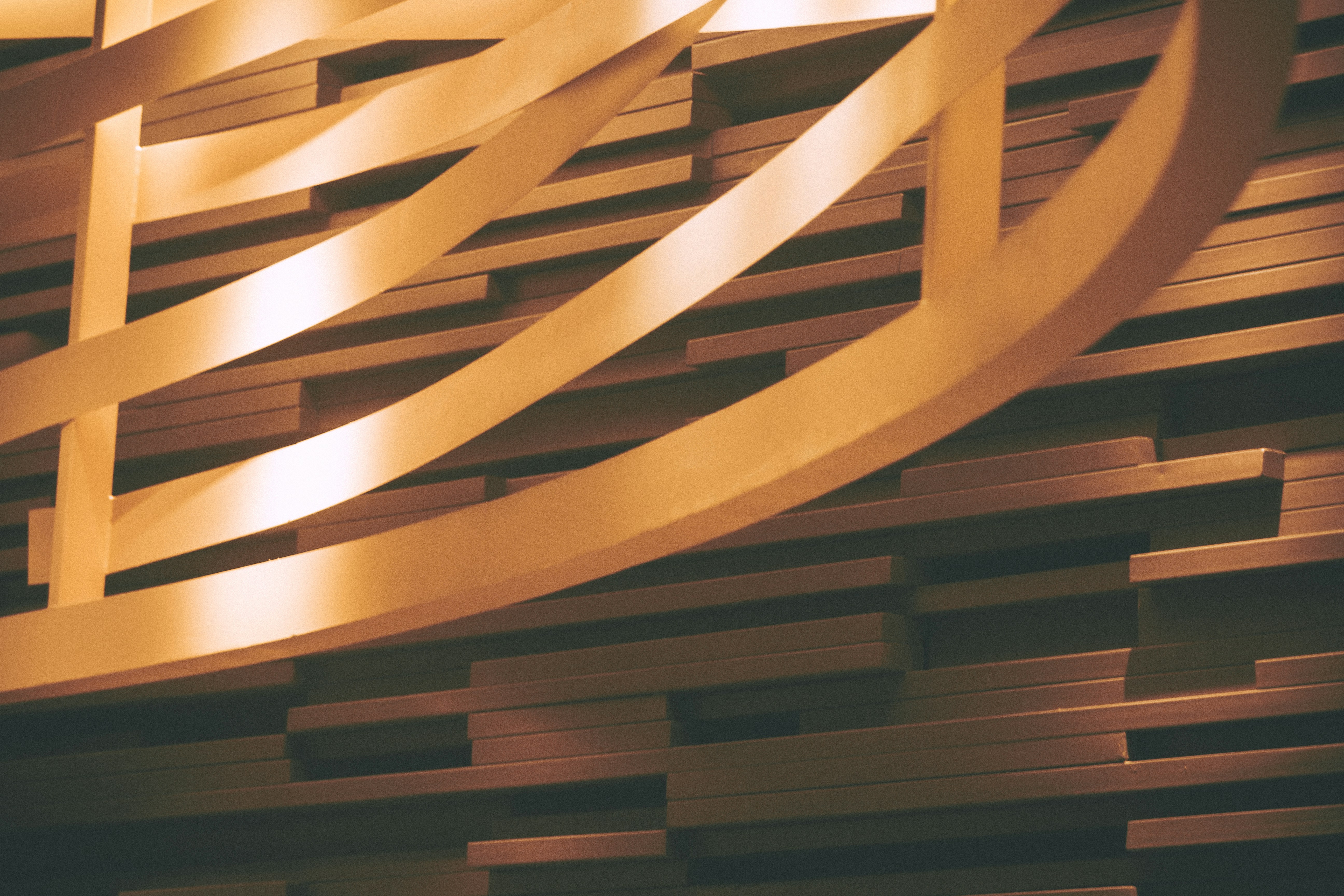 How Disgust Hijacks Your Moral Reasoning