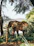 A close-up of a majestic wild elephant walking through lush green forest.