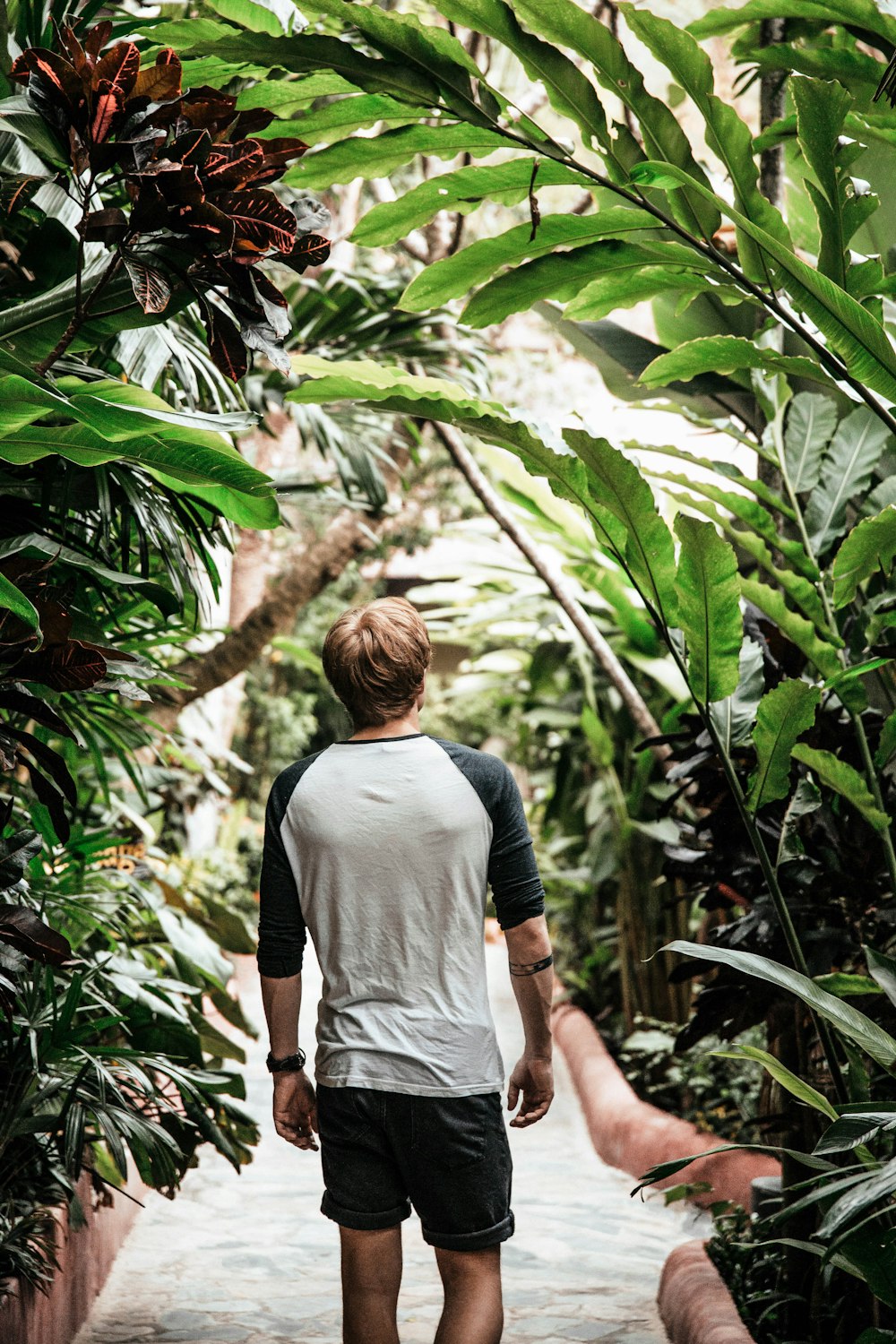 man walking on garden pathway