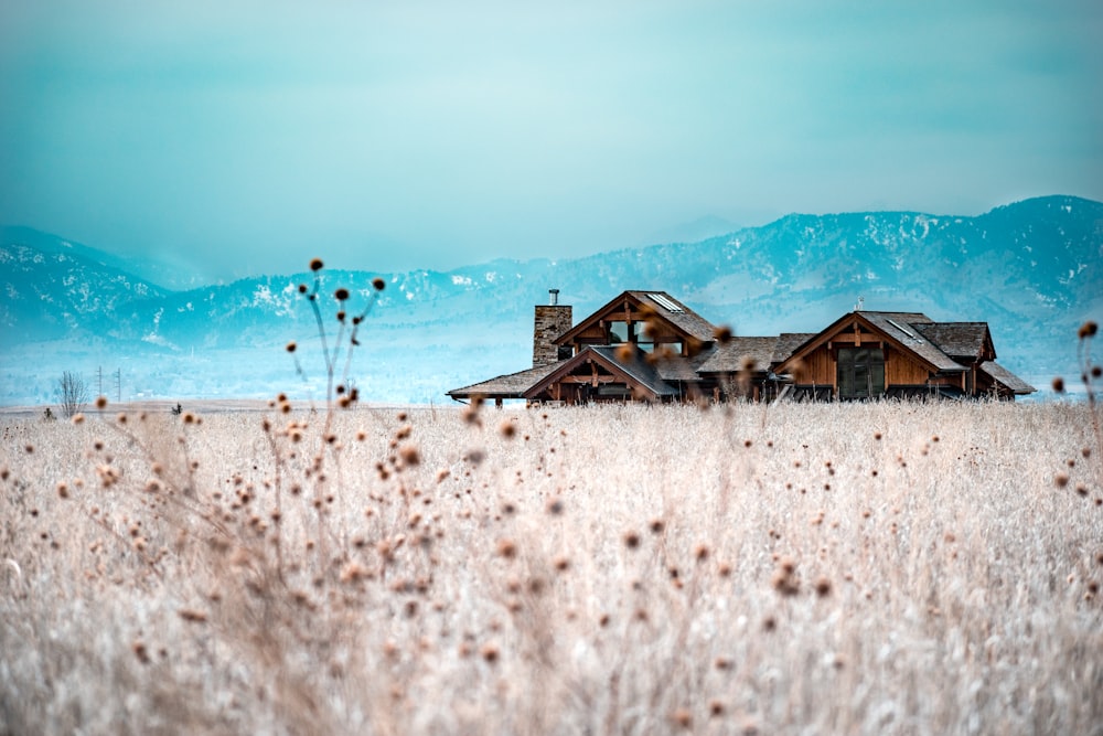 brown wooden house in the middle of grass field