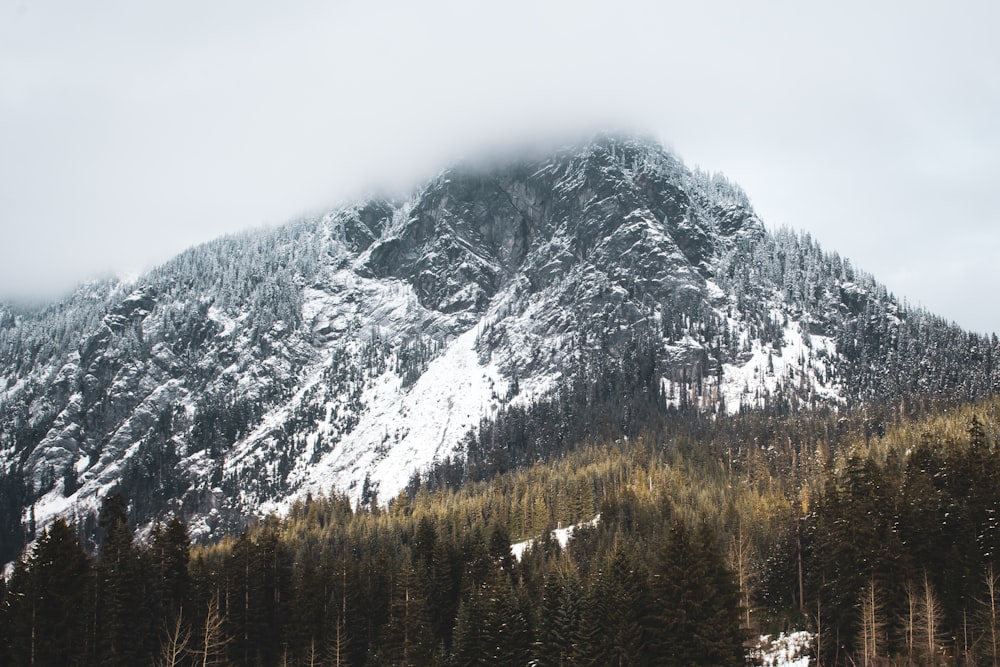 landscape photo of snow covered mountain