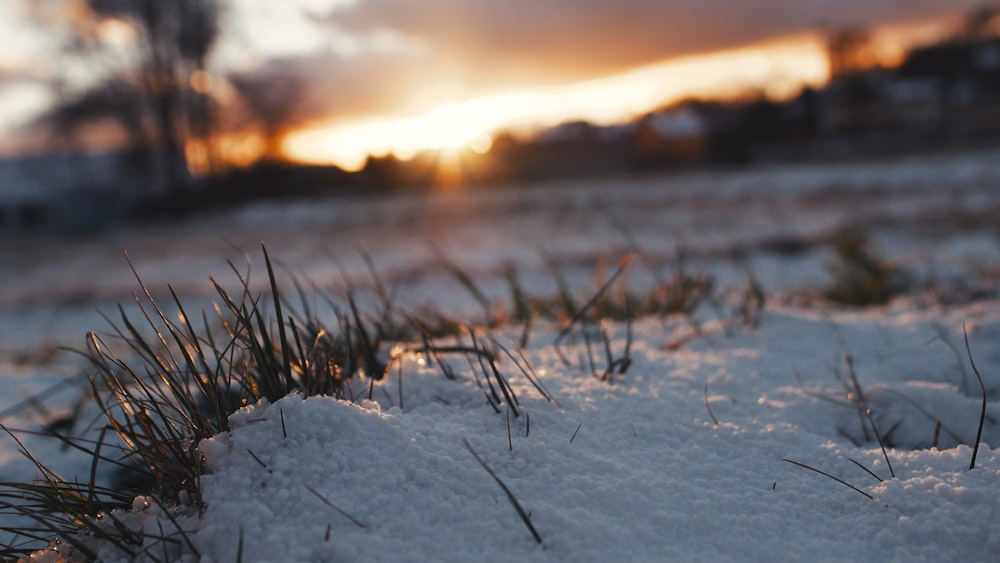 Tagsüber schneebedecktes Feld