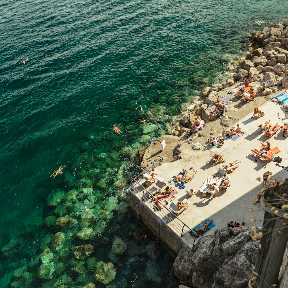 fotografia aerea di persone che prendono il sole accanto alla spiaggia