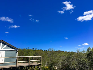 A cozy modular park home nestled among tall trees with a bright blue sky overhead.