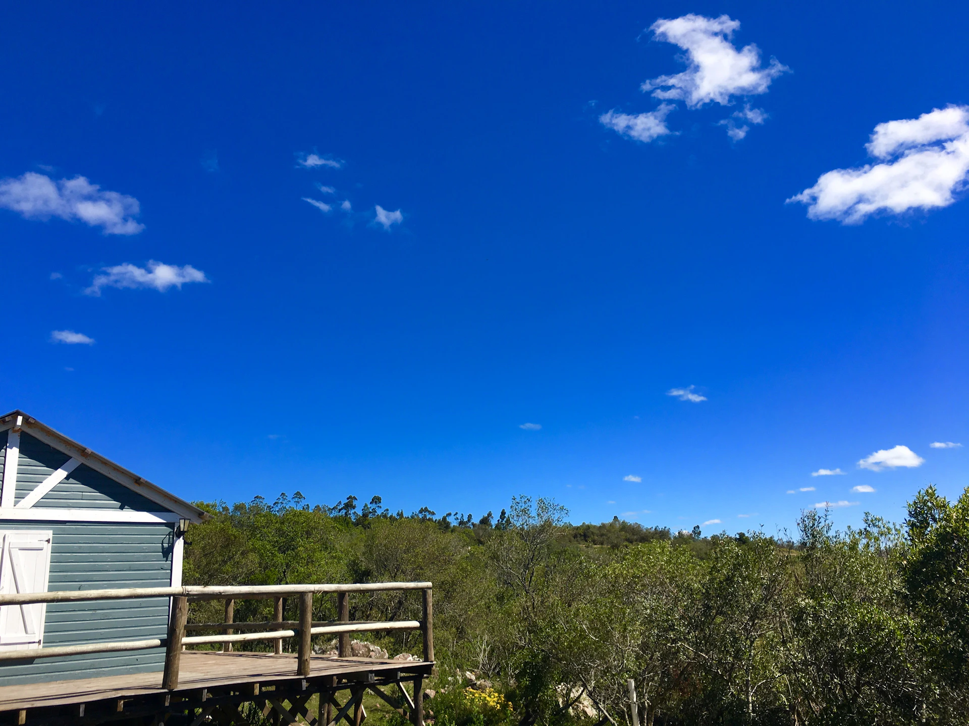 gray computer monitor