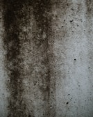 A textured surface displaying dark, uneven patches and speckles, resembling mold or dirt accumulation on a lighter concrete wall.