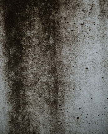 A textured surface displaying dark, uneven patches and speckles, resembling mold or dirt accumulation on a lighter concrete wall.