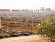 Wide shot of heavy-duty agricultural metal structures assembled outdoors.