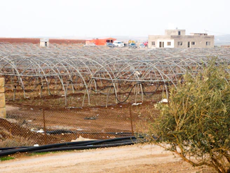 Wide shot of heavy-duty agricultural metal structures assembled outdoors.