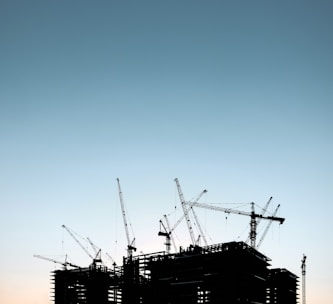 silhouette of cranes