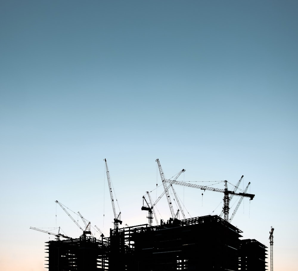 silhouette of cranes