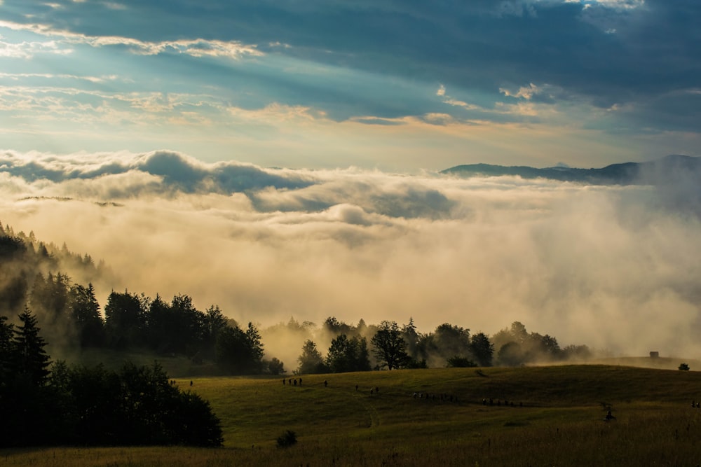 landscape photo of mountains under cloudy sky