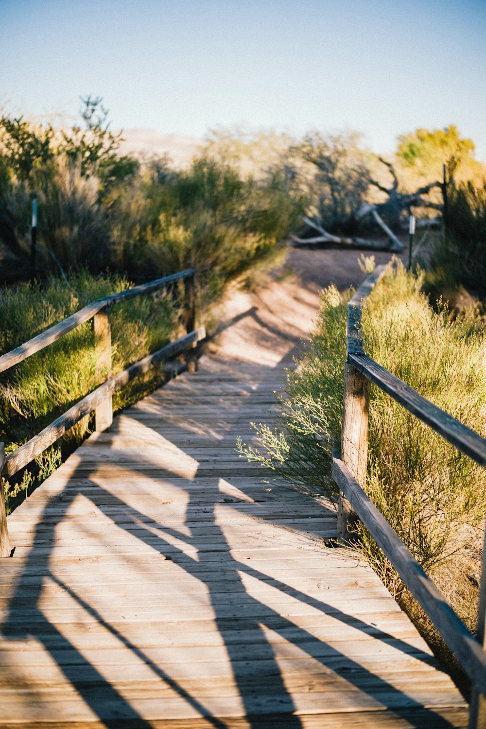 empty footbridge