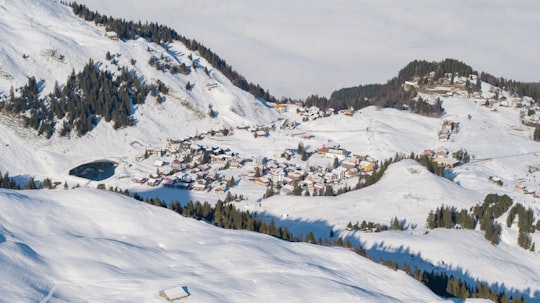 trees onsnow mountain in Klingenstock Switzerland