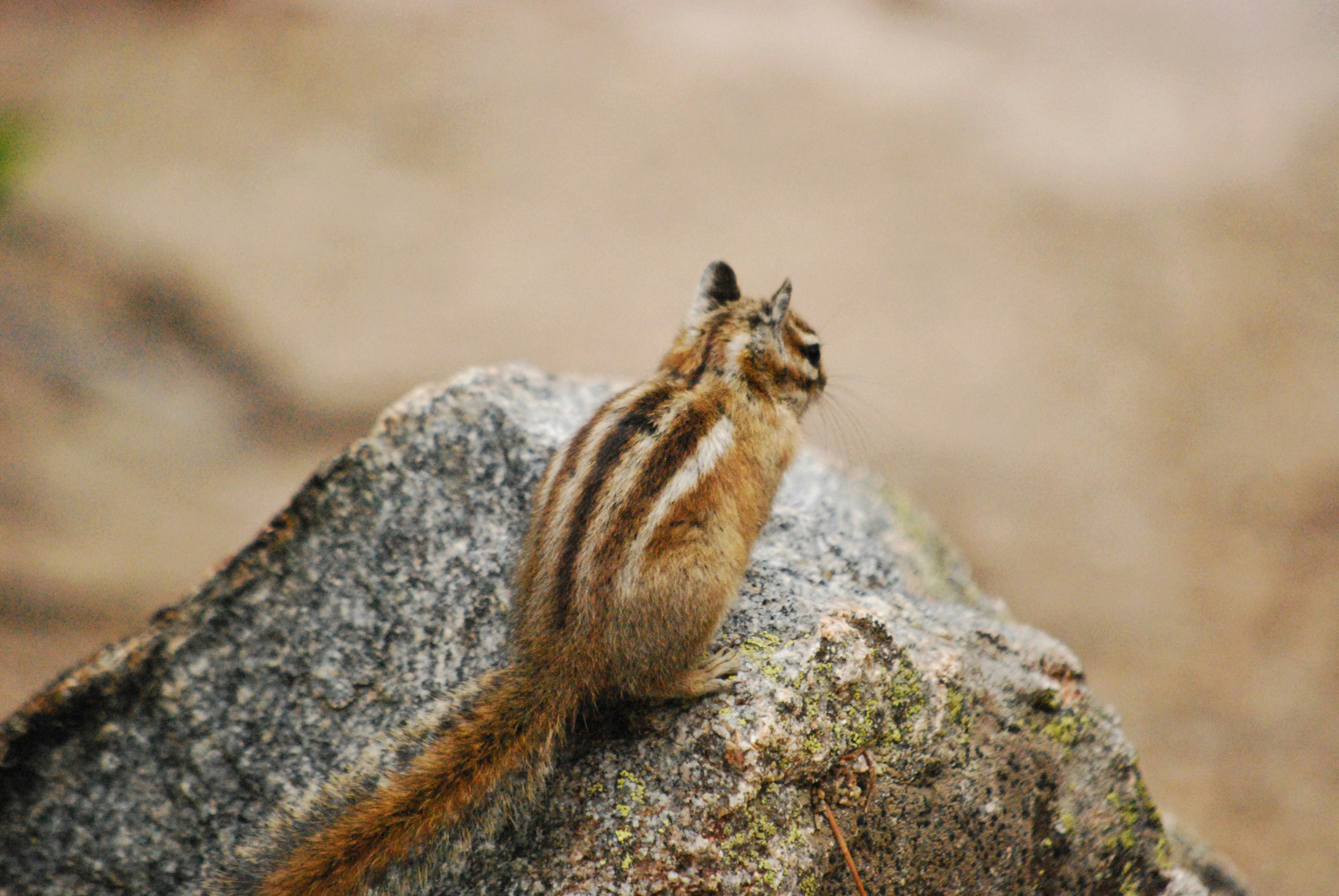 Photo by dwilliamriggs