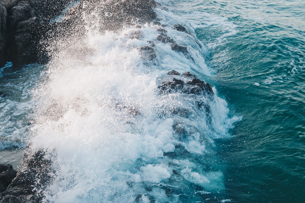 close-up photography of water