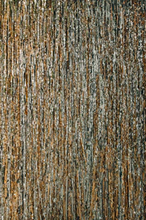 brown and black abstract painting