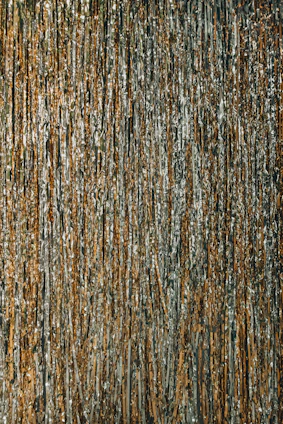 brown and black abstract painting