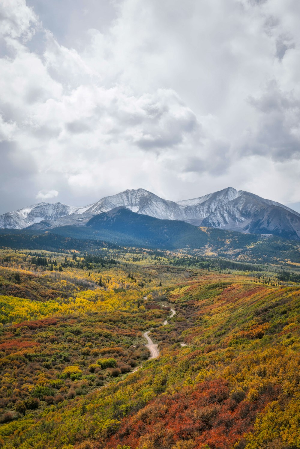 mountain surrounded with trees