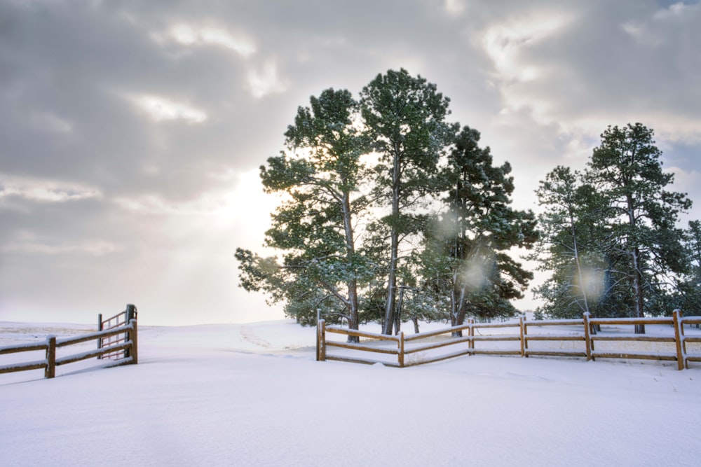 open gate in snow covered yard near trees