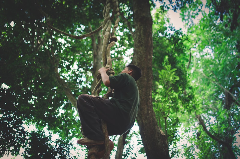 man climbing tree during daytime