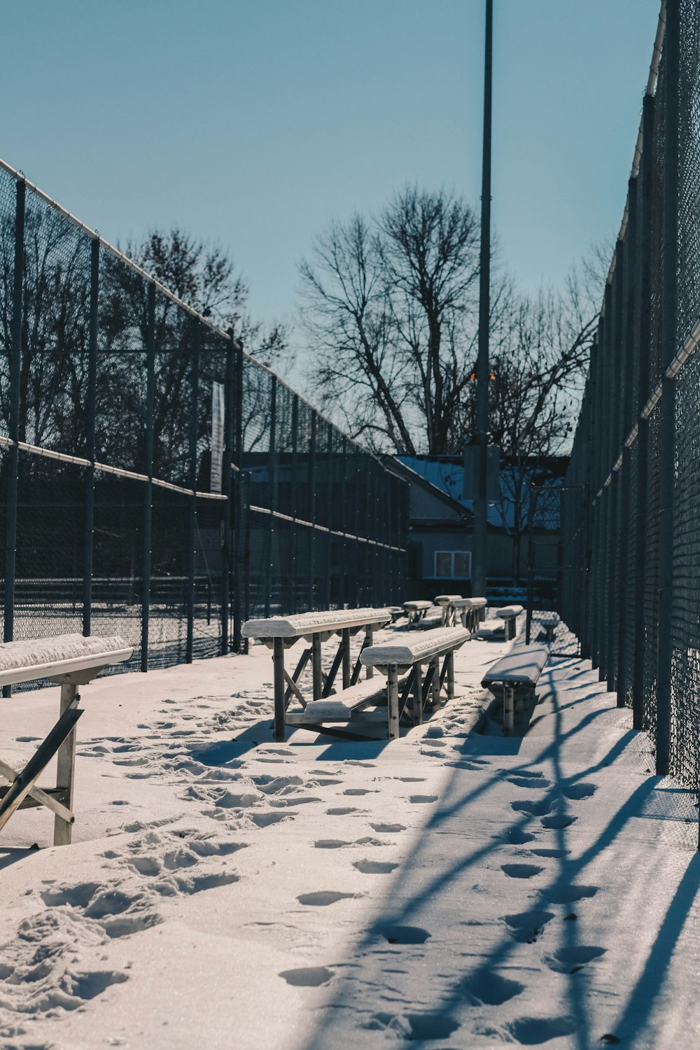 benches covered in snow