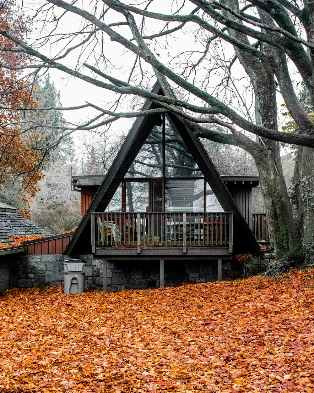 house between trees