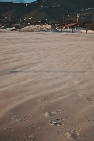 An inviting image of a plot near the beach, highlighting its prime location.