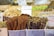 Various spices and nuts are displayed in clear containers at a market stall. Prominent cinnamon sticks and bundles of other spices are accompanied by handwritten signs. The background shows an assortment of other dried goods and nuts.