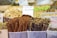 Various spices and nuts are displayed in clear containers at a market stall. Prominent cinnamon sticks and bundles of other spices are accompanied by handwritten signs. The background shows an assortment of other dried goods and nuts.