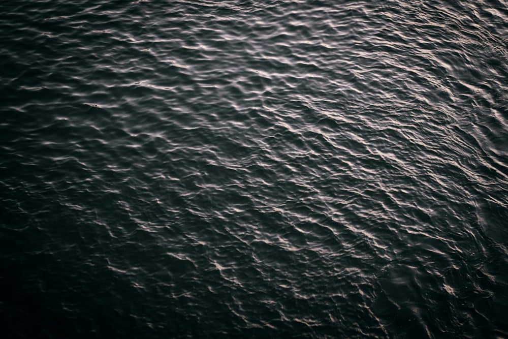 small waves of body of water during daytime